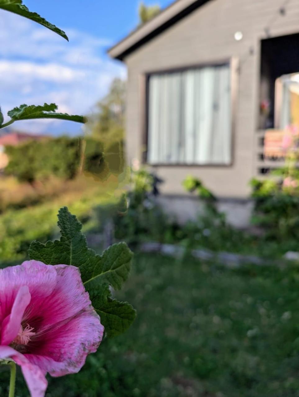 Cottage Kazbegi Sioni Εξωτερικό φωτογραφία